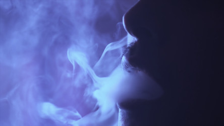 Similar image 22296654