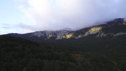 Similar image 22296657