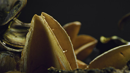 Similar image 22329602