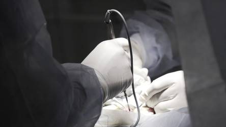 Similar image 22330485