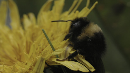 Similar image 22330486