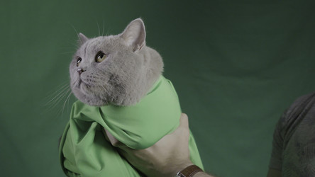 Similar image 22296429