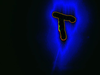 Similar image 22291747