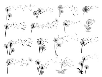 Similar image 22291409