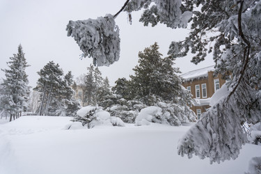 Similar image 22290592