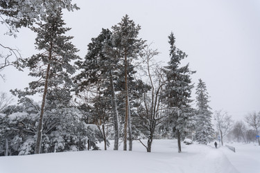 Similar image 22290593