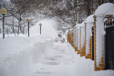 Similar image 22290595