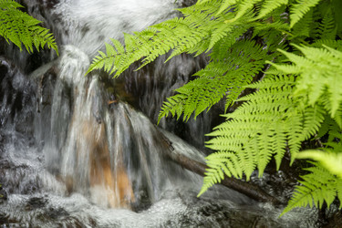 Similar image 22290600