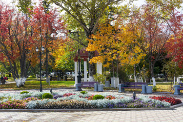 Similar image 22290608