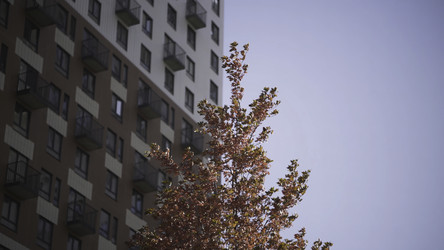 Similar image 22328611