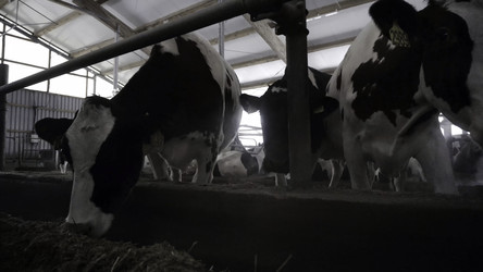 Similar image 22328613