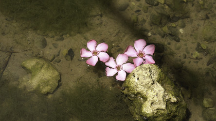 Similar image 22329610