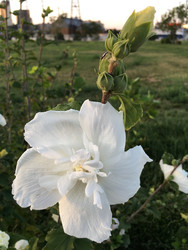 Similar image 22291411