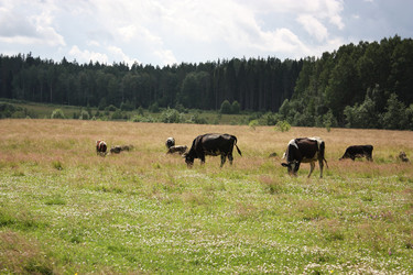 Similar image 22291871