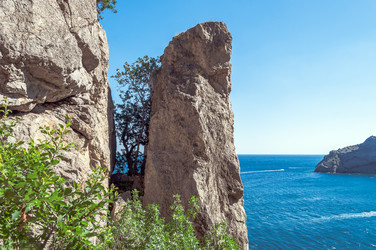 Similar image 22294419