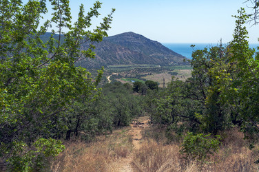 Similar image 22294423