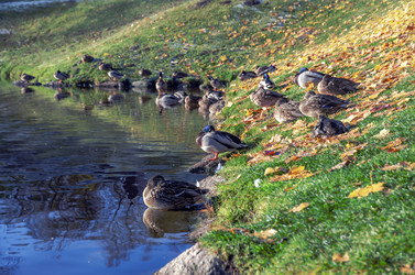 Similar image 22294431