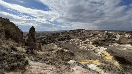 Similar image 22332021