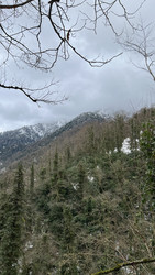 Similar image 22323430