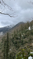 Similar image 22323431