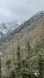 Similar image 22323432