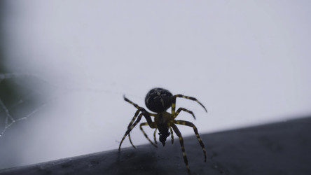 Similar image 22328618