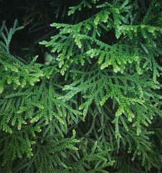 Similar image 22301205