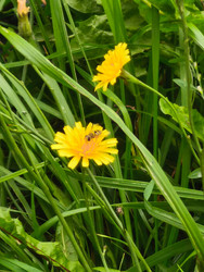 Similar image 22301207