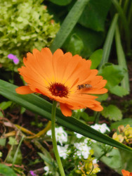 Similar image 22301212