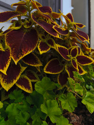 Similar image 22301215