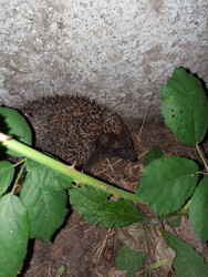 Similar image 22301218