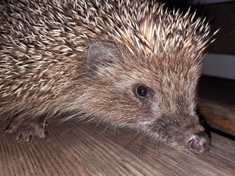 Similar image 22301220