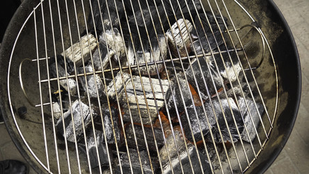 Similar image 22331259