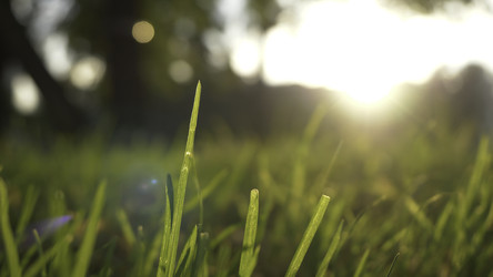 Similar image 22331261