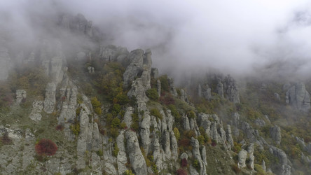 Similar image 22331475