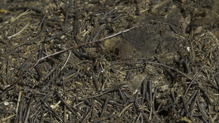 Similar image 22296483