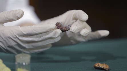 Similar image 22296484