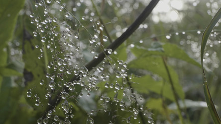 Similar image 22296487