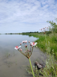 Similar image 22291424