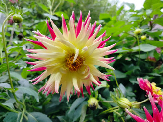 Similar image 22291428