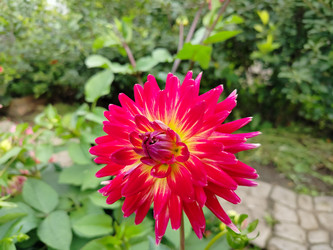 Similar image 22291429