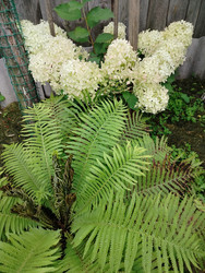 Similar image 22291430