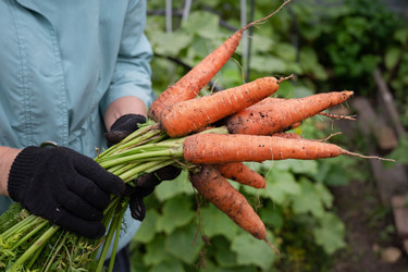 Similar image 22301724