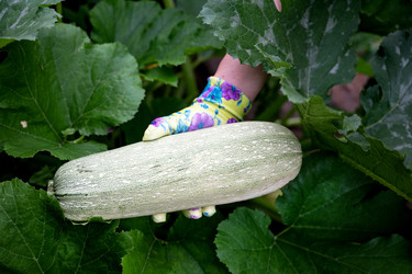 Similar image 22301725