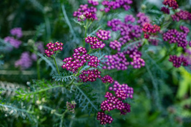 Similar image 22301726