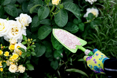 Similar image 22301727