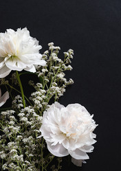 Similar image 22301731