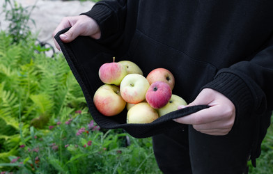 Similar image 22301734