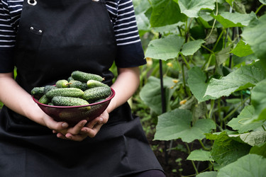 Similar image 22301745