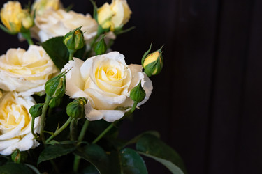 Similar image 22301746